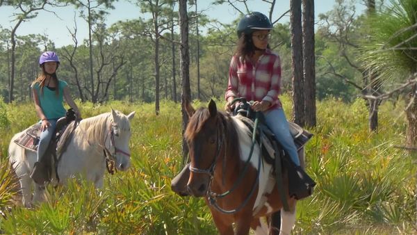 The Outsiders Club - Horseback Riding