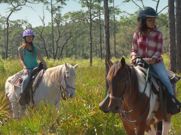 The Outsiders Club - Horseback Riding