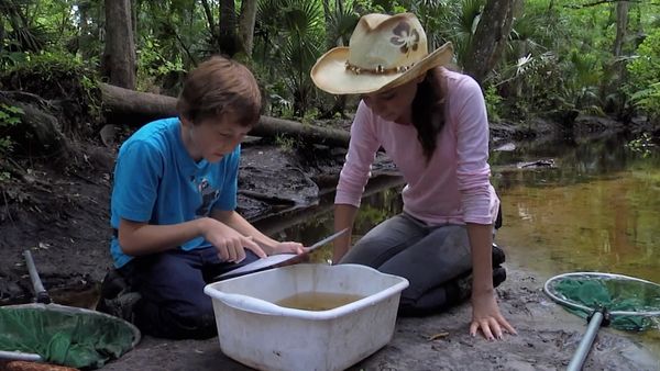 The Outsiders Club - Extreme Nature Walk