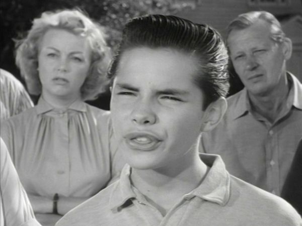 The Twilight Zone - Die Monster der Maple Street