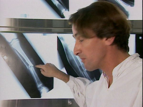 C'est Pas Sorcier - L' hospital de la tête aux pieds