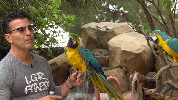 Animal Zone - Episode 5