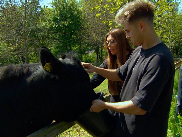 Geordie Shore - Episodio 1503