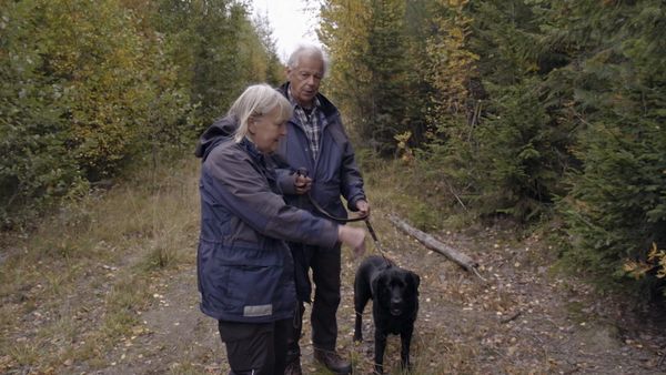Svenska fall - Avsnitt 604