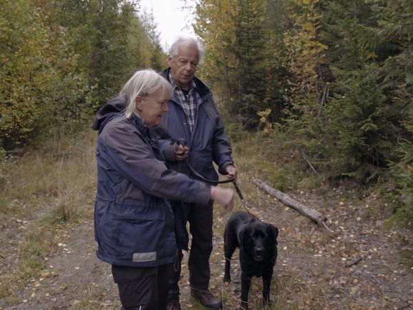 Svenska fall - Avsnitt 604