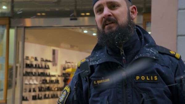Svenska fall - Avsnitt 607