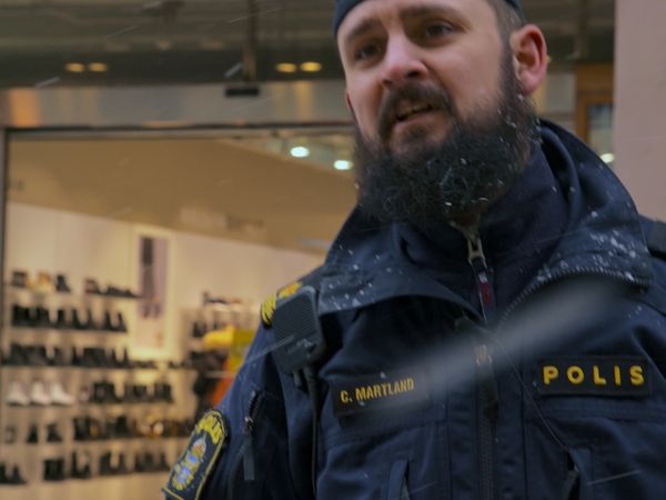 Svenska fall - Avsnitt 607