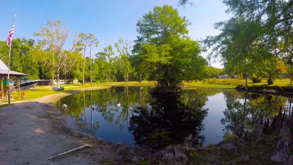 The Outsiders Club - Feeding Animals / Bass Fishing Challenge