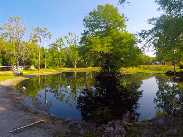 The Outsiders Club - Feeding Animals /  Bass Fishing Challenge