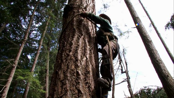 Ax Men - Falling Apart (2012)