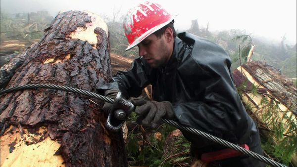 Ax Men - The Ax Stops Here (2012)