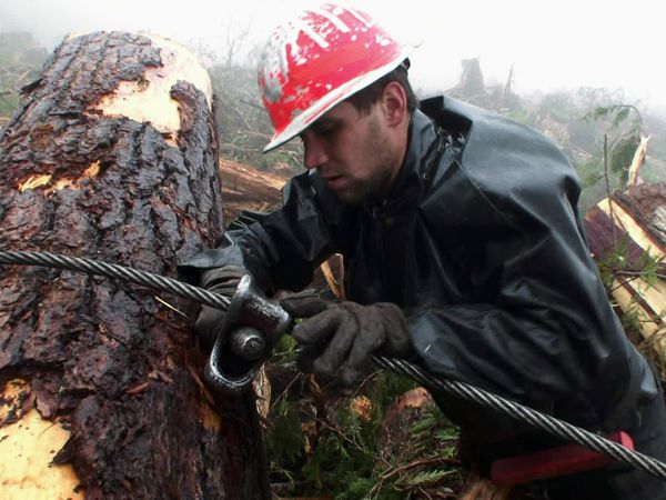 Ax Men - The Ax Stops Here (2012)