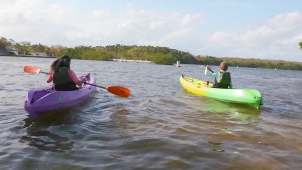 The Outsiders Club - Kayaking with Baby Sharks