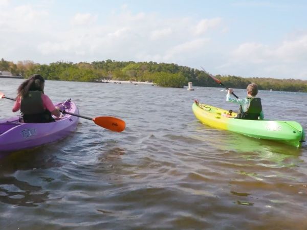 The Outsiders Club - Kayaking with Baby Sharks