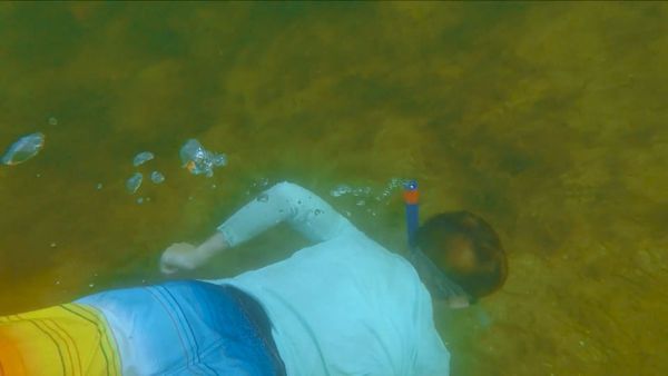 The Outsiders Club - Coral Reef Restoration