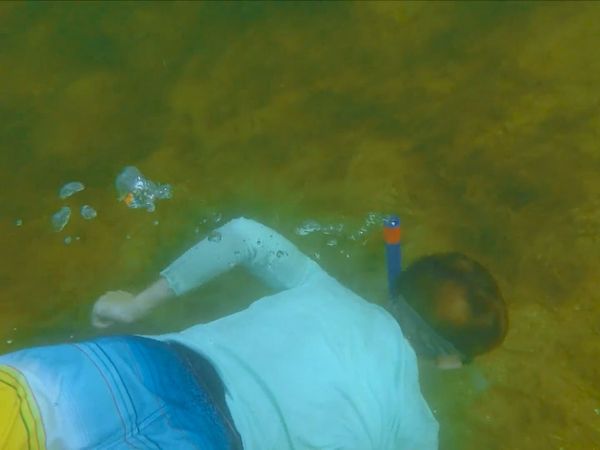 The Outsiders Club - Coral Reef Restoration