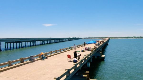 The Outsiders Club - Pierfishing
