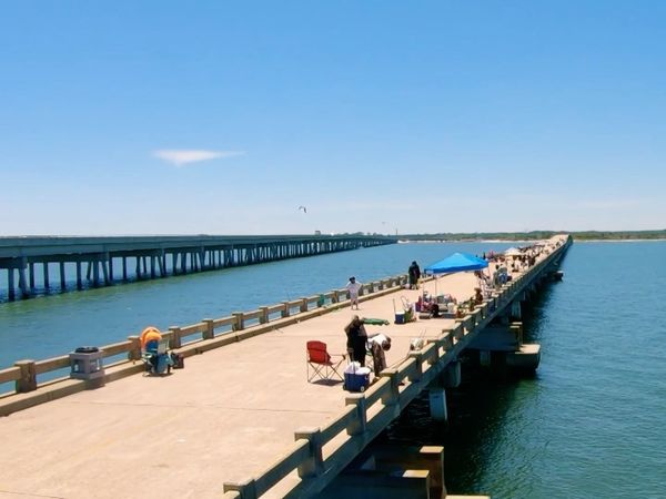 The Outsiders Club - Pierfishing