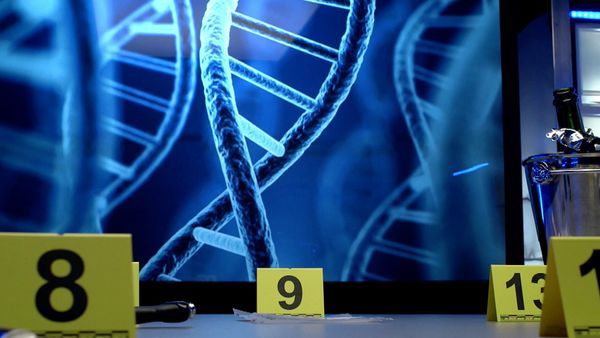 Evidencias del Crimen - Sólo el ADN puede decir - Angélique Dumetz