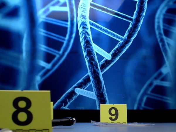 Evidencias del Crimen - Sólo el ADN puede decir - Angélique Dumetz