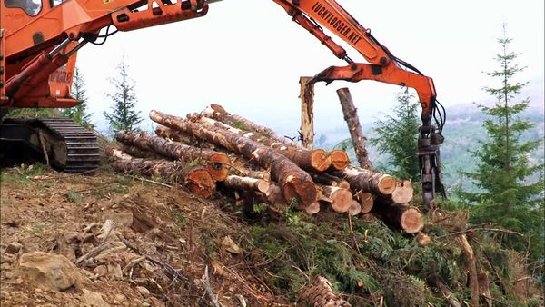 Ax Men - Goldmine (2013)