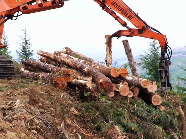 Ax Men - Goldmine (2013)