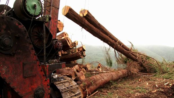 Ax Men - Calling it Quits (2013)