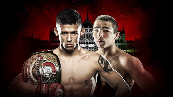 Bellator MMA Full Fight Cards - Bellator 177: Dantas vs Higo
