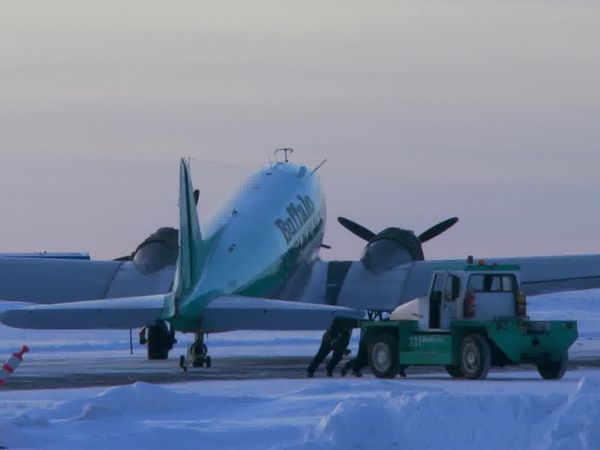 Ice Pilots NWT CA - Old Dogs