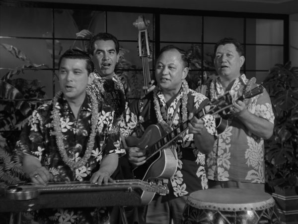 The Adventures of Ozzie and Harriet - The Hawaiian Party