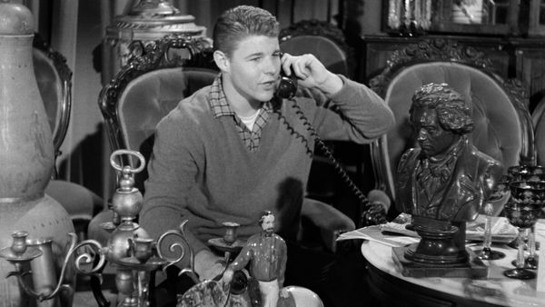 The Adventures of Ozzie and Harriet - The Night Watchman