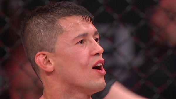 Bellator MMA Individual Fights - Eduardo Dantas vs. Toby Misech From Bellator 215