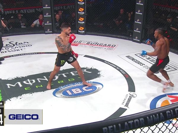 Bellator MMA Individual Fights - Gaston Bolanos vs. Solo Hatley From Bellator 239