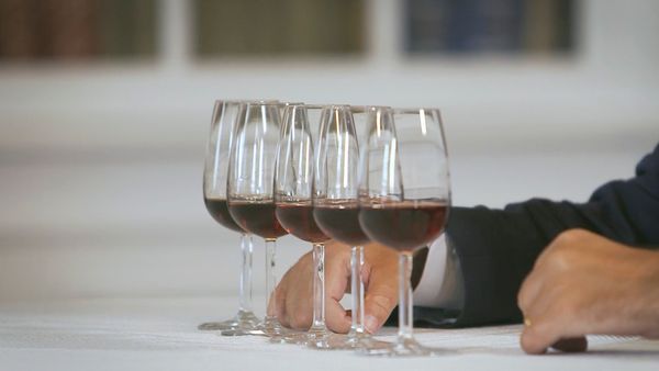 Rotas do Vinho - Episode 15