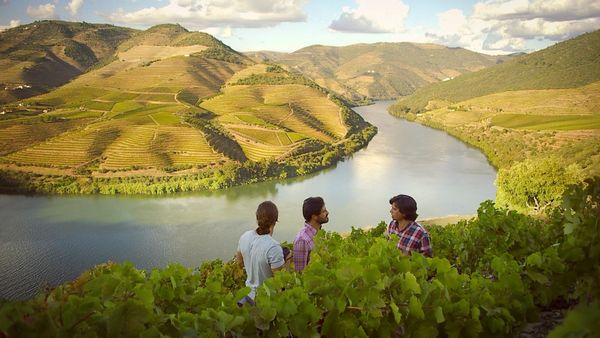 Rotas do Vinho - Episode 14