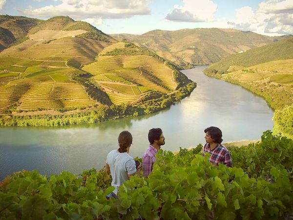 Rotas do Vinho - Episode 14