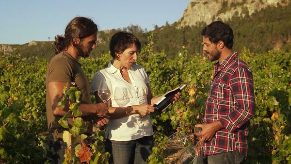 Rotas do Vinho - Episode 4