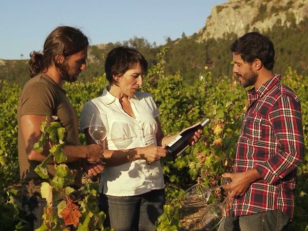 Rotas do Vinho - Episode 4