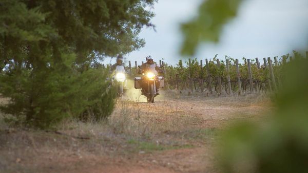 Rotas do Vinho - Episode 11