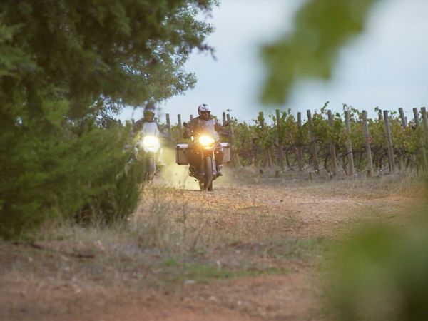 Rotas do Vinho - Episode 11