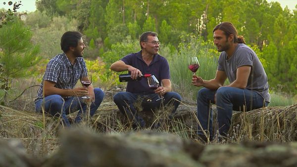 Rotas do Vinho - Episode 12