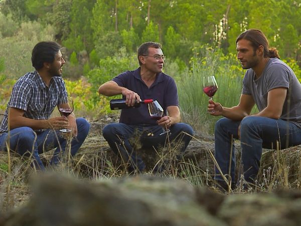 Rotas do Vinho - Episode 12