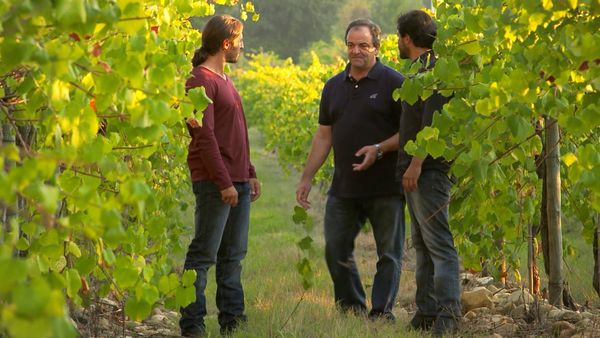 Rotas do Vinho - Episode 13