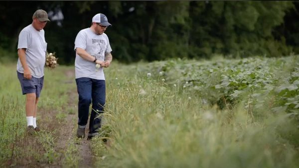 The Mind of a Chef - Seeds