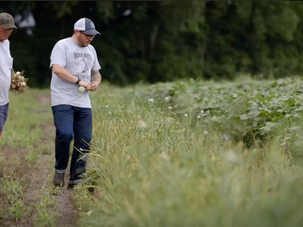The Mind of a Chef - Seeds