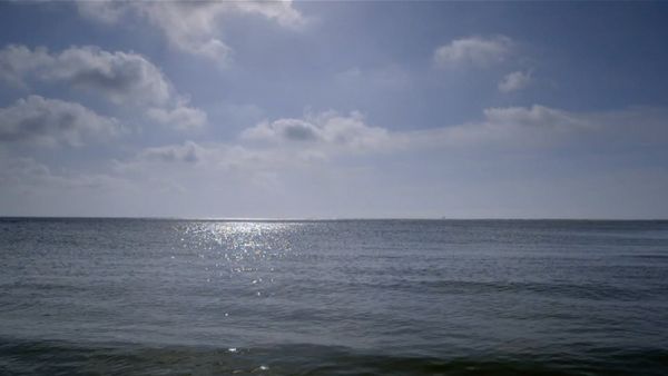 The Mind of a Chef - Sea/Salt