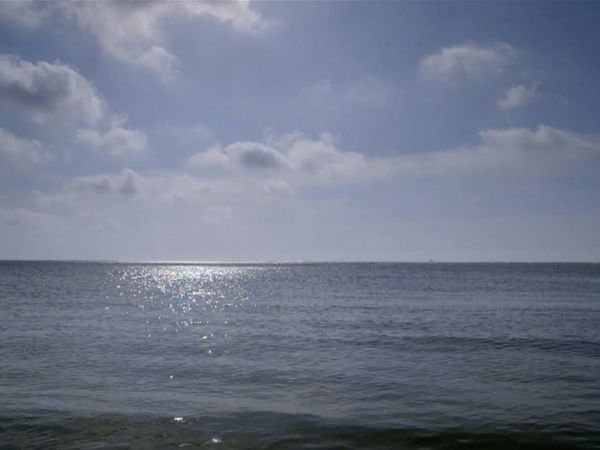 The Mind of a Chef - Sea/Salt