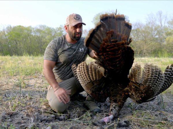 Man Eats Wild - Talking Turkey - Frank Stallone