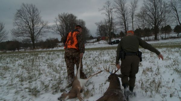 Wardens - Firearm Deer Opener