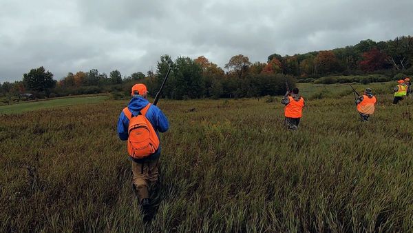 Wardens - Trespassing for Deer